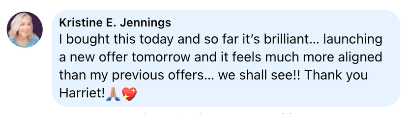 Testimonial — bought it today and it's brilliant, my offer feels more aligned